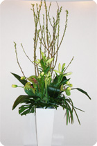 �C���v�����g ���� ���ȁE�є����@